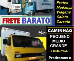 Fretes Realizamos um Serviços Profissional de Frete Mudança com equipe profissional Frete