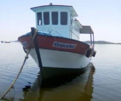 Excelente barco traineira ideal para lazer, pescaria, passeios ou trabalho