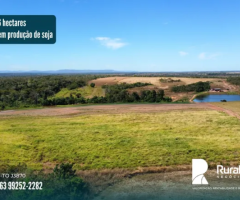 Fazenda em produção de soja