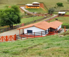 Sítio 6 Alqueires de Tripla Aptidão, Haras, Produção de Leite ou Pousada Rural em Paraibun