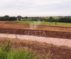 Sítio em Santa Tereza do Oestes 15 alq Plantio de Soja Produção de 8.000 mil Lt Leite mês