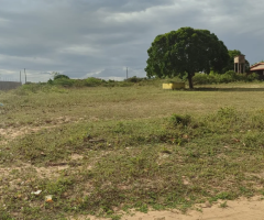 Terreno Próximo ao parque de vaquejada 1000m², em Pium.