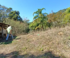 Sítio para Venda em Trajano de Moraes, Trajano de Moraes, 1 dormitório, 1 banheiro