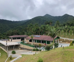 Sítio para Venda em Águas Mornas, Rio novo, 4 dormitórios, 5 banheiros