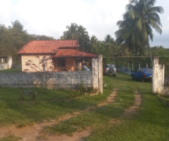 Vendo um Sitio em Abrantes com 7.750m2 , Casa 1/4 e árvores frutíferas