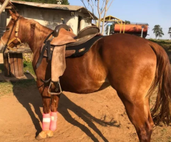 Potra ,fechada trabalho, serve para criança iniciada 3 tambores