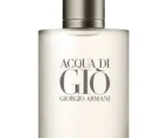 Perfume Giorgio Armani Acqua di gio 100ml Ricow