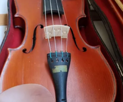 Violino Tranquillo Giannini 4/4