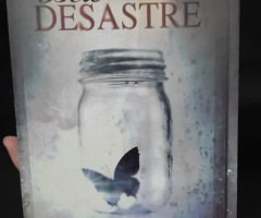 Belo Desastre - Jamie McGuire